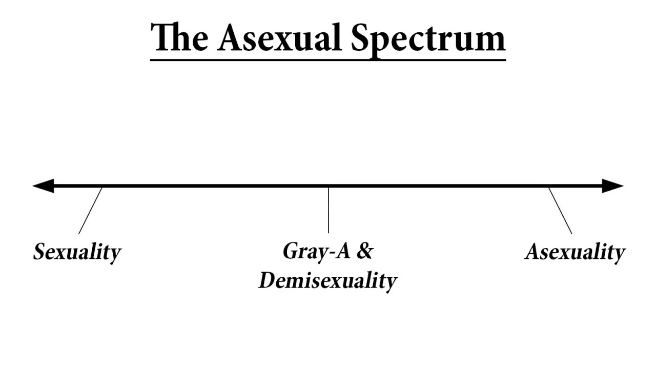 What Is Asexuality The Asexual Spectrum Autumn Asphodel 6172