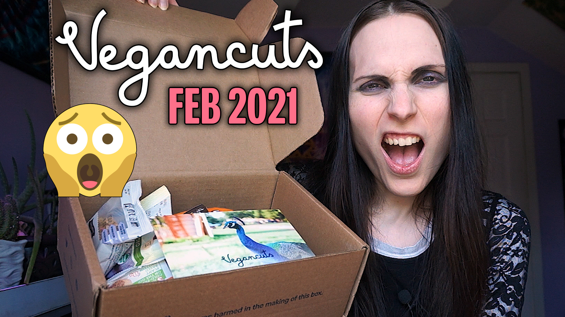 Vegancuts Snack Box February 2021 • Autumn Asphodel