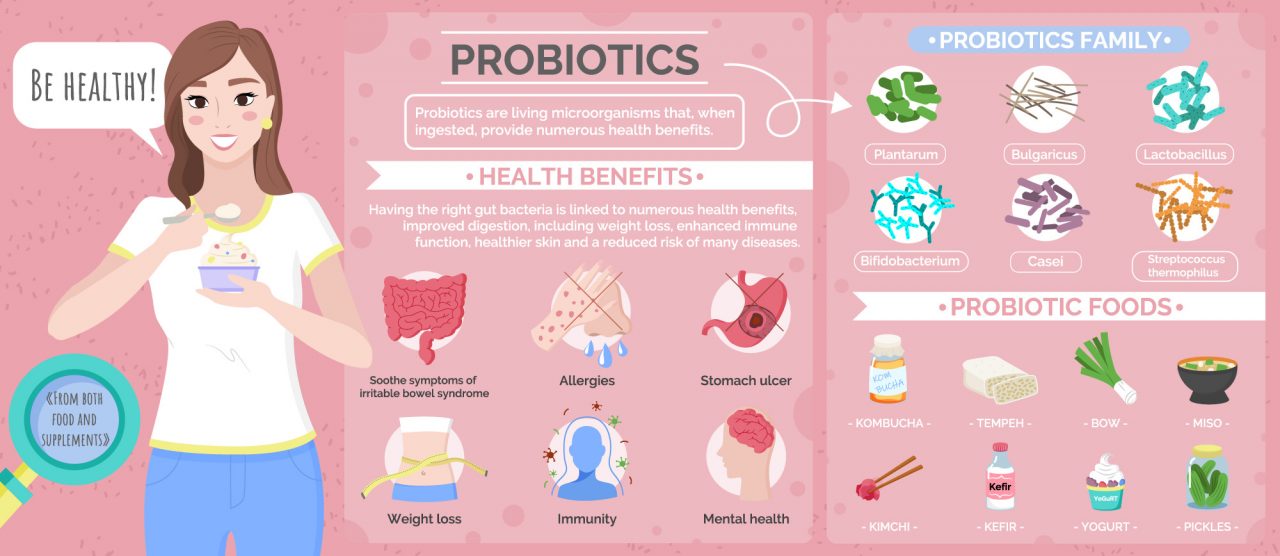 Probiotics poster vector