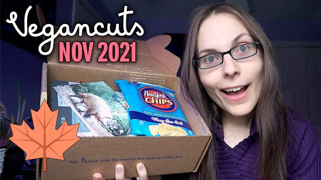 Vegancuts Beauty & Snack Box | November 2021 - Salted Balls in Fall